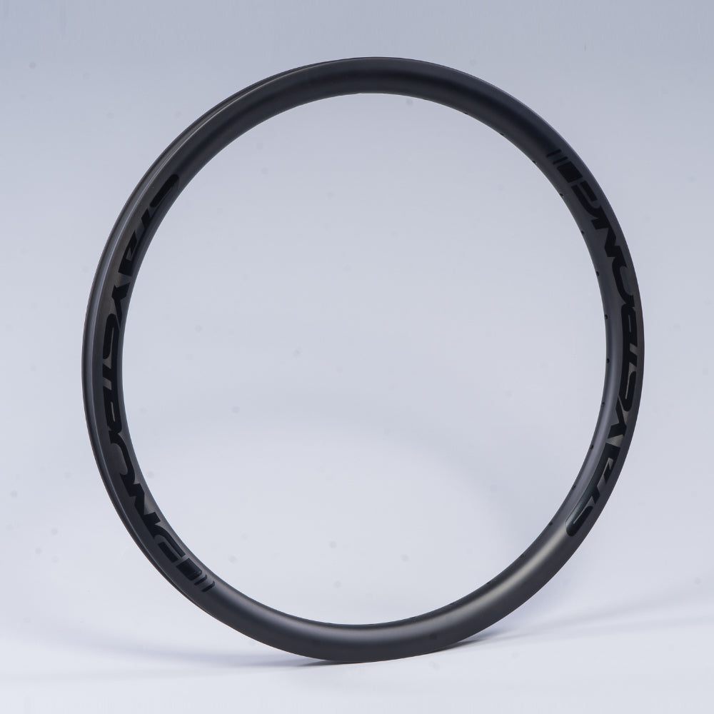 RACE DVSN CRUISER CARBON / 24 X 1.75" / RIMS / FRONT