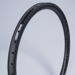 RACE DVSN CRUISER CARBON / 24 X 1.75" / RIMS / REAR