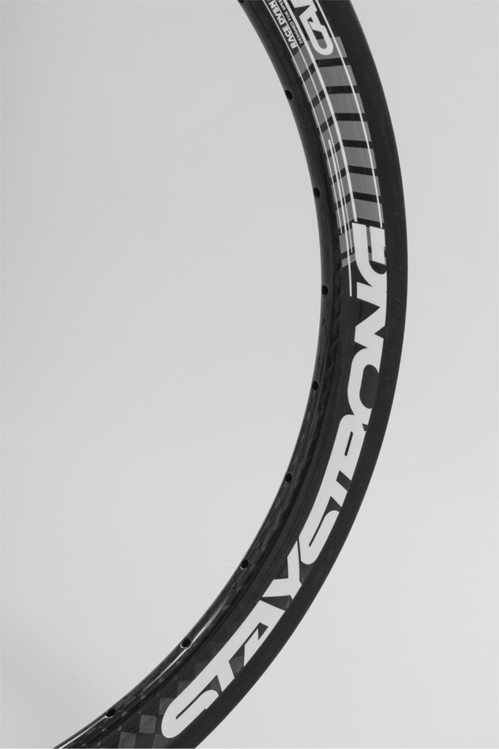 V3 EXPERT CARBON GLOSS / 1 x 3/8" / RIMS / REAR