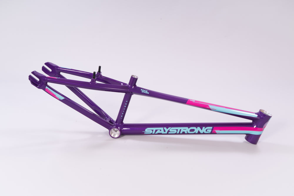 2020 FOR LIFE V3 / FRAME / EXPERT / PURPLE