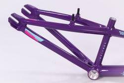 2020 FOR LIFE V3 / FRAME / EXPERT / PURPLE